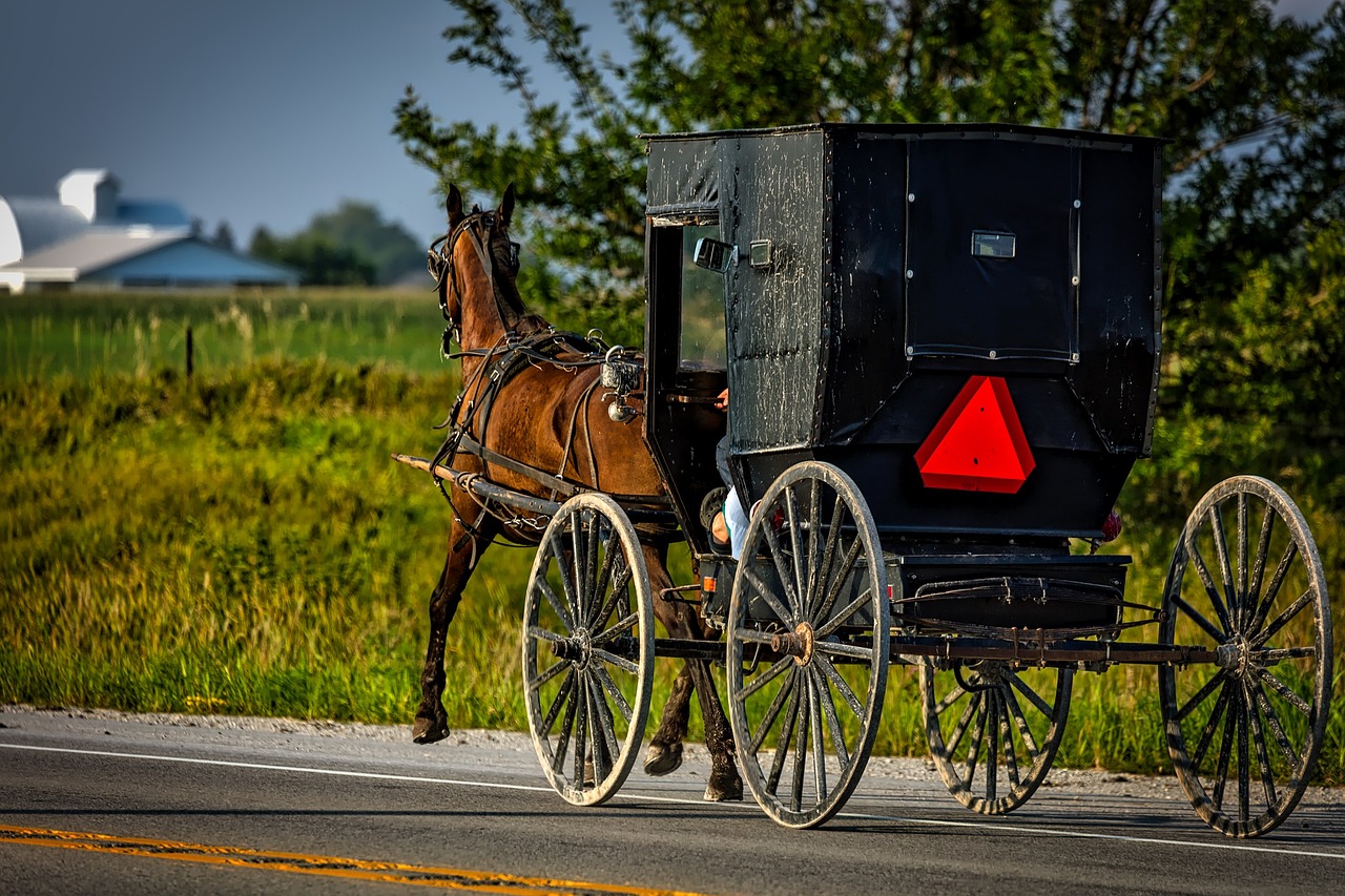 amish-1728517_1280.jpg