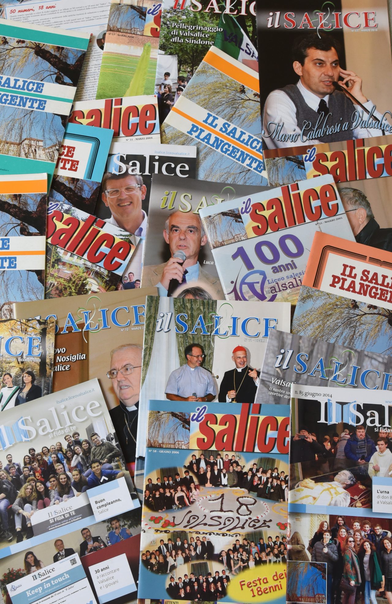 Salice copertina