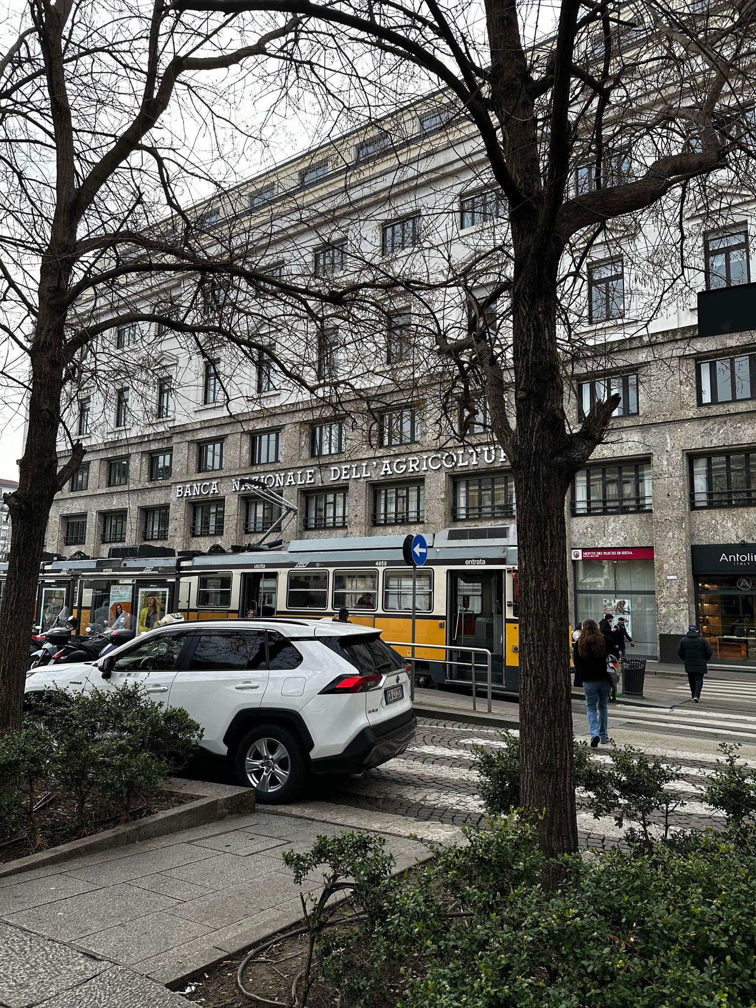 https://ilsaliceweb.liceovalsalice.it/wp-content/uploads/sites/12/2025/03/daffb022-55f7-4f61-ab6a-5070ce6fea61.jpg