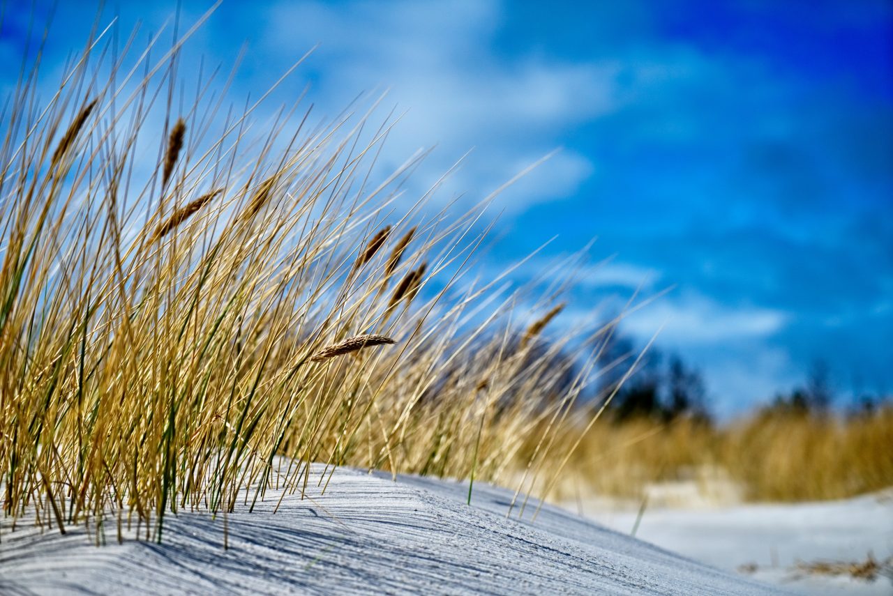 schnicar_fotografie-denmark-3655992